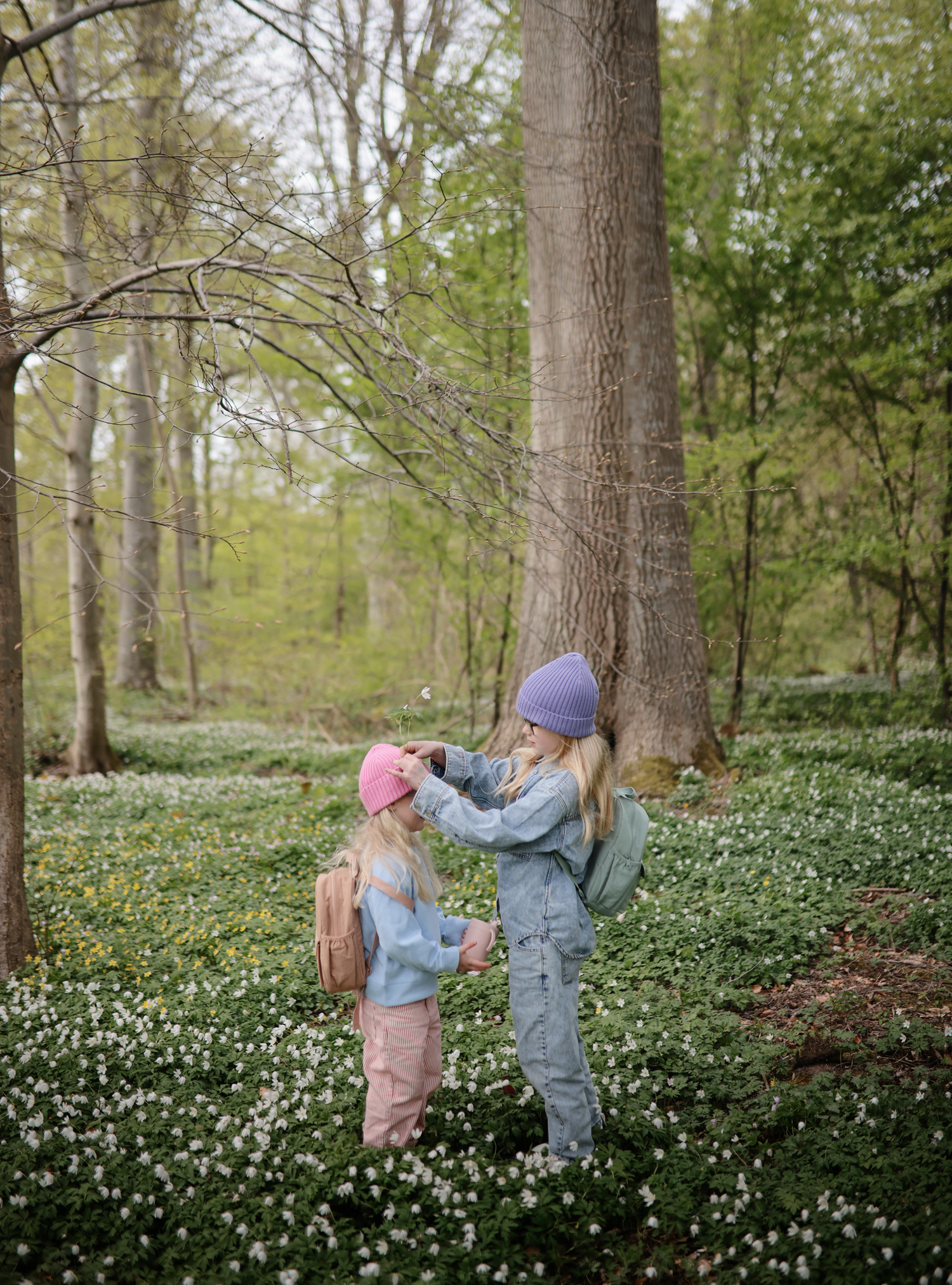 Child (2 years old and above)