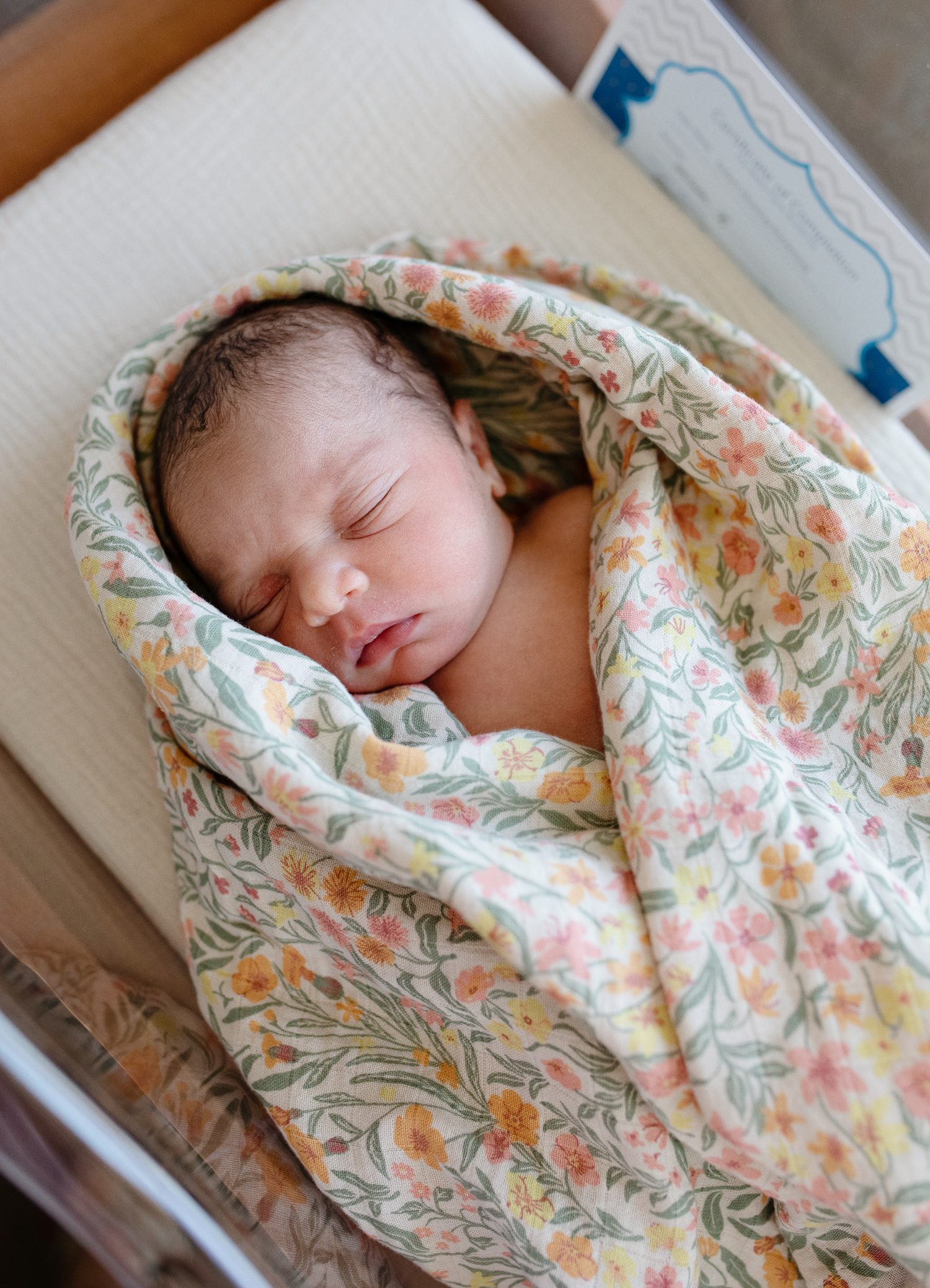 Newborn (0 - 3 months)